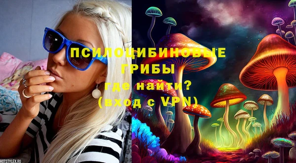 Альфа ПВП Алзамай