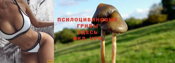 амфетамин Алексин