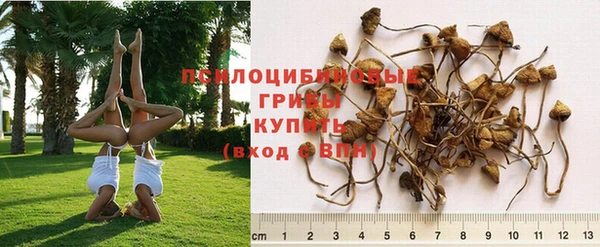 Альфа ПВП Алзамай