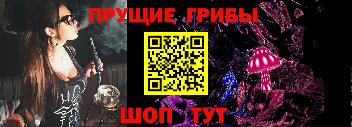 Санкт-Петербург  Псилоцибиновые грибы Psilocybine cubensis  Вход с VPN  Псилоцибиновые грибы Cubensis 