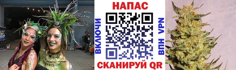 МАРИХУАНА Ganja цена MEGA вход Санкт-Петербург
